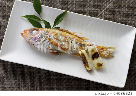 のどぐろの塩焼き13 のどぐろの塩焼き13 64036823