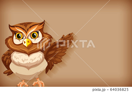 Background template with plain color and brown owl Background template with plain color and brown owl 64036825