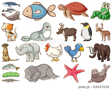 Large set of wildlife with many types of animals 64037016