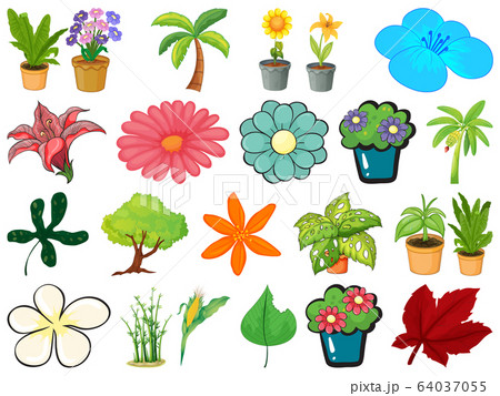 Large set of different gardening objects on white 64037055