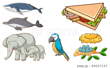 Large set of different animals and other objects 64037137