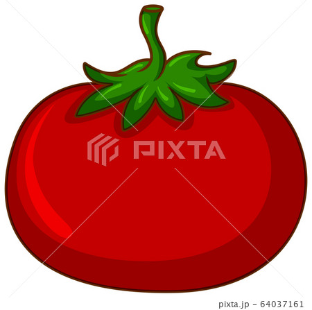 One red tomato on white background 64037161