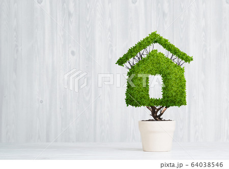 Concept of ecology recycling and eco construction with plant in pot Concept of ecology recycling and eco construction with plant in pot 64038546