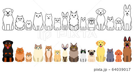 犬と猫のボーダーセット　全身 64039017