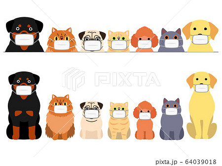 マスクをした犬と猫のボーダーセットのイラスト素材 64039018 Pixta