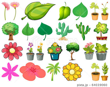 Large set of different plants on white background 64039060