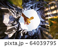 Banana peel was thrown into the garbage bag. 64039795
