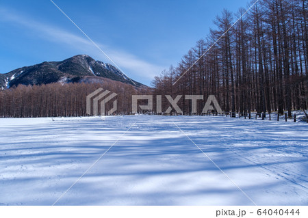 牧場の雪景色 64040444