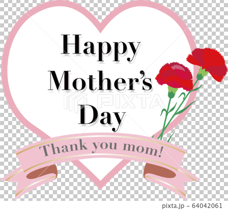 Mothers day carnation gift message 64042061