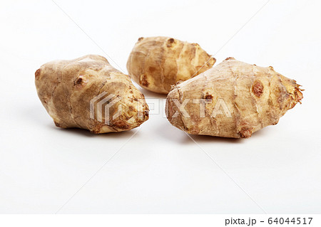 Jerusalem artichoke Jerusalem artichoke 64044517