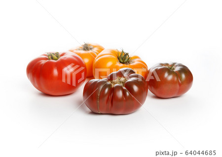 home grown tomato 64044685