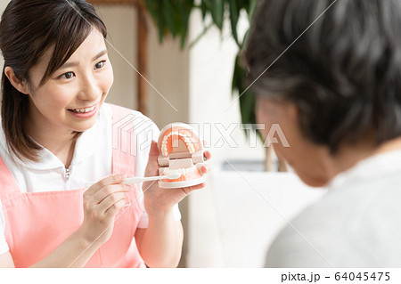 女性　シニア　歯科衛生士 64045475