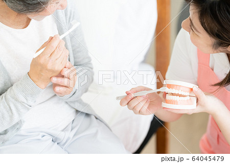 女性　シニア　歯科衛生士 64045479