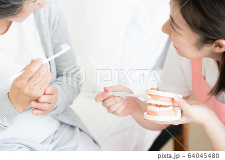 女性　シニア　歯科衛生士 64045480