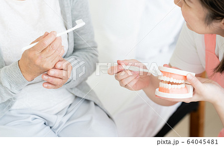 女性 シニア 歯科衛生士 女性 シニア 歯科衛生士 64045481