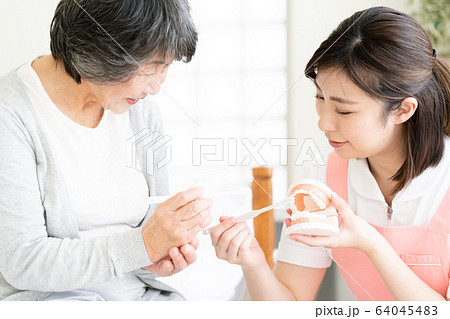 女性　シニア　歯科衛生士 64045483