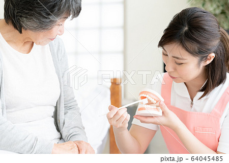 女性　シニア　歯科衛生士 64045485