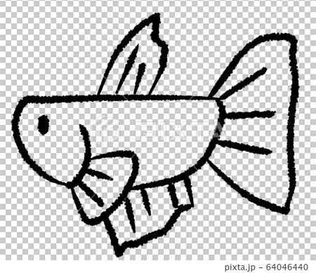 メスベタ（線画） 64046440
