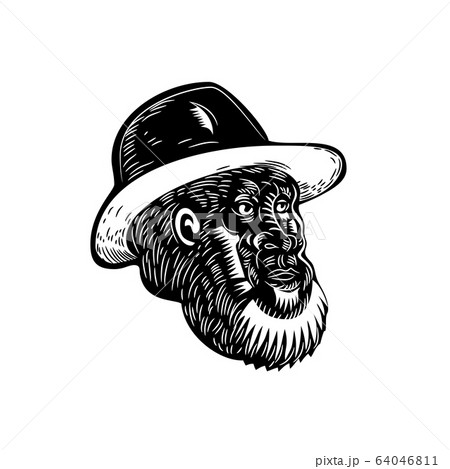 Old Farmer With Beard and Hat Woodcut 64046811