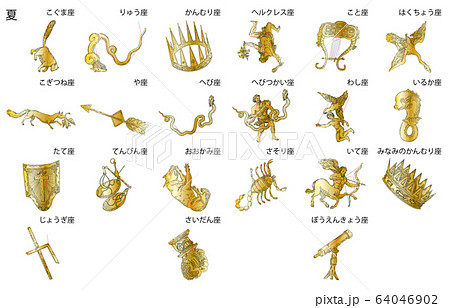 夏の星座影あり金名称 64046902