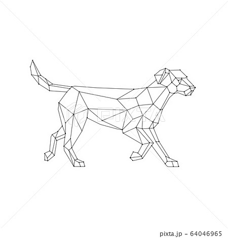 Labrador Walking Wireframe Low Polygon 64046965