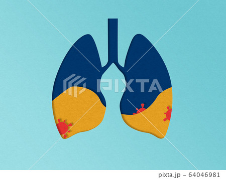 Illustration of papercut lungs with virus. Pneumonia concept. Covid-19 coronavirus pandemic problem 64046981