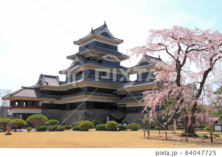 国宝 松本城 64047725