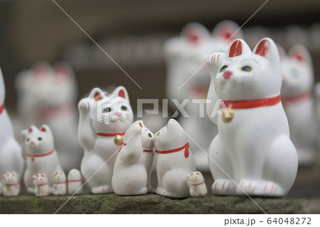 仲良しな招き猫親子 仲良しな招き猫親子 64048272