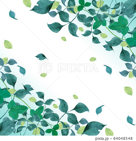 葉っぱフレームのイラスト素材