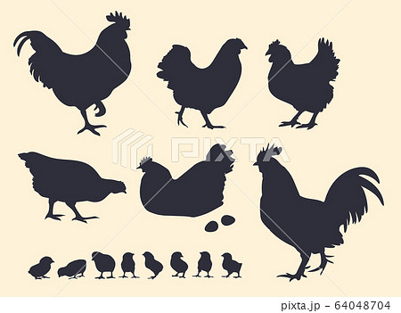 Dark vector silhouettes of poultry. Roosters, hens and chickens. 64048704