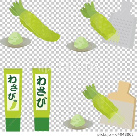 Wasabi Wasabi tube grater - Stock Illustration [64048805] - PIXTA