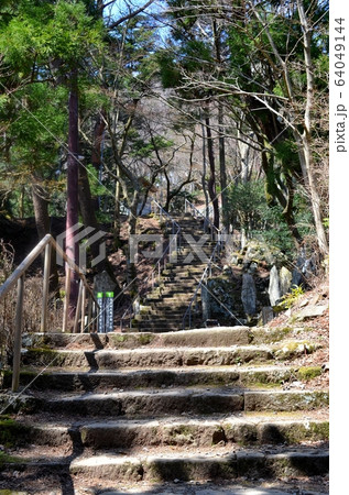 神奈川県・大山・登山道 64049144