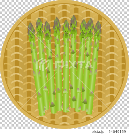 アスパラガス 64049169