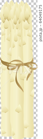 White asparagus 64049175