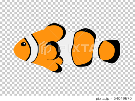 小丑anemonefish 64049670