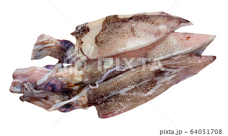 Raw calamari on wooden table 64051708
