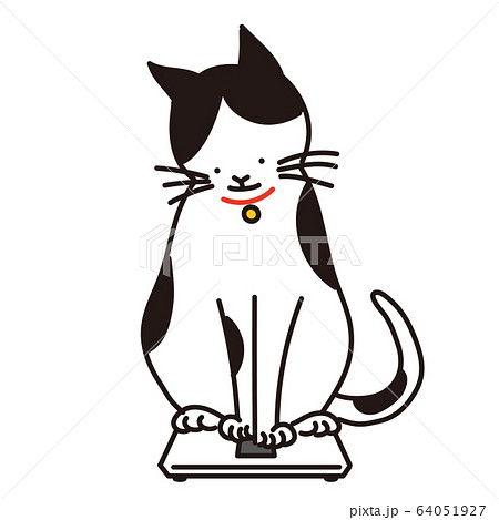 体重計の上の猫のイラスト素材