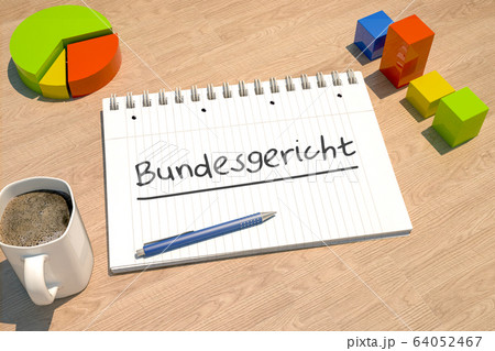 Bundesgericht Bundesgericht 64052467