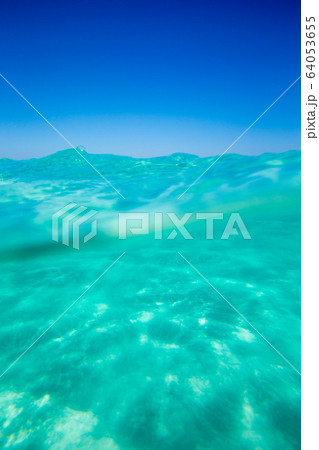 Tranquil underwater scene with copy space 64053655