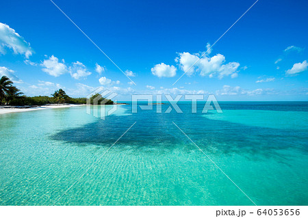 tropical beach in Maldives 64053656