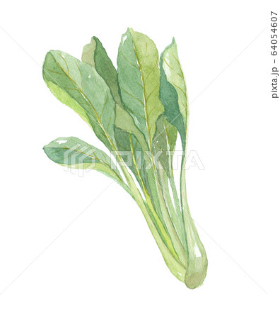 ニガナ ンジャナ ニガナ ンジャナ 64054607