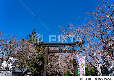 山梨県　冨士小室浅間神社の鳥居 64054928