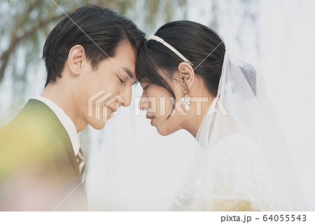 屋外でのカップルウエディングポートレート 屋外でのカップルウエディングポートレート 64055543