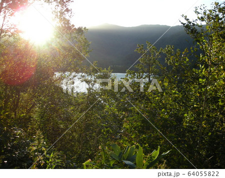 オコタンペ湖 64055822