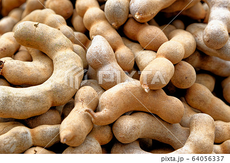 Tamarind - tropical tasty healthy fruits in 64056337