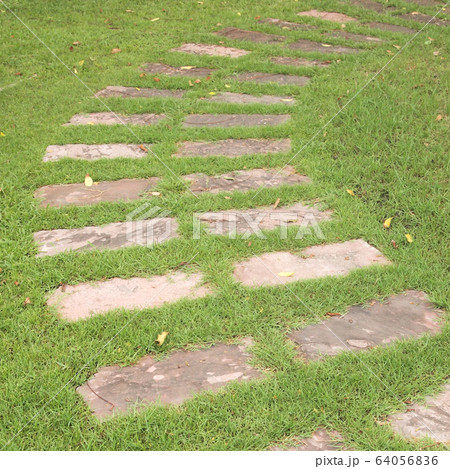 Stone pathway Stone pathway 64056836