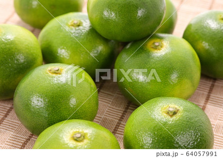 青ミカン　早生ミカン　小粒 64057991