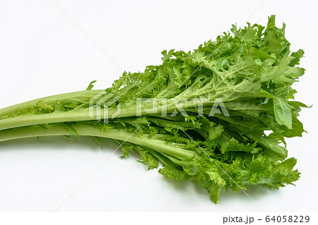 爽やかな味 ワサビ菜 爽やかな味 ワサビ菜 64058229