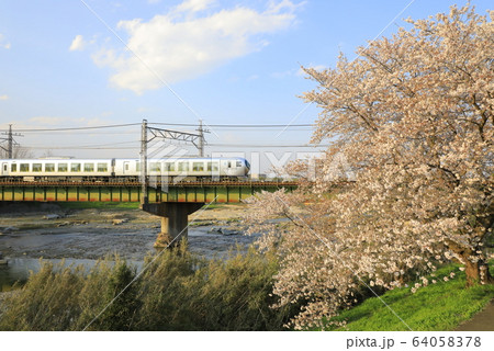 桜咲く入間川と001系 “Laview” 64058378