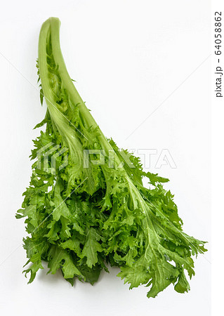 爽やかな味　ワサビ菜 64058862